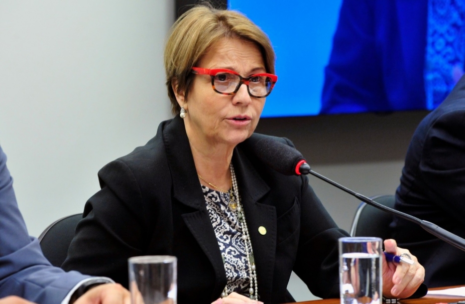 Ministra da Agricultura afirma que preço do arroz deve cair
