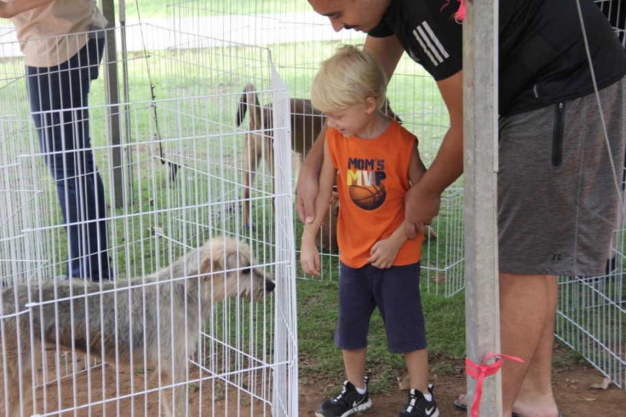 Parque Dom José recebe Feira de Adoção de Cães neste final de semana